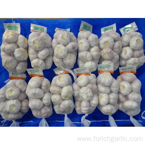 Fresh Normal White Garlic Size 5.0cm